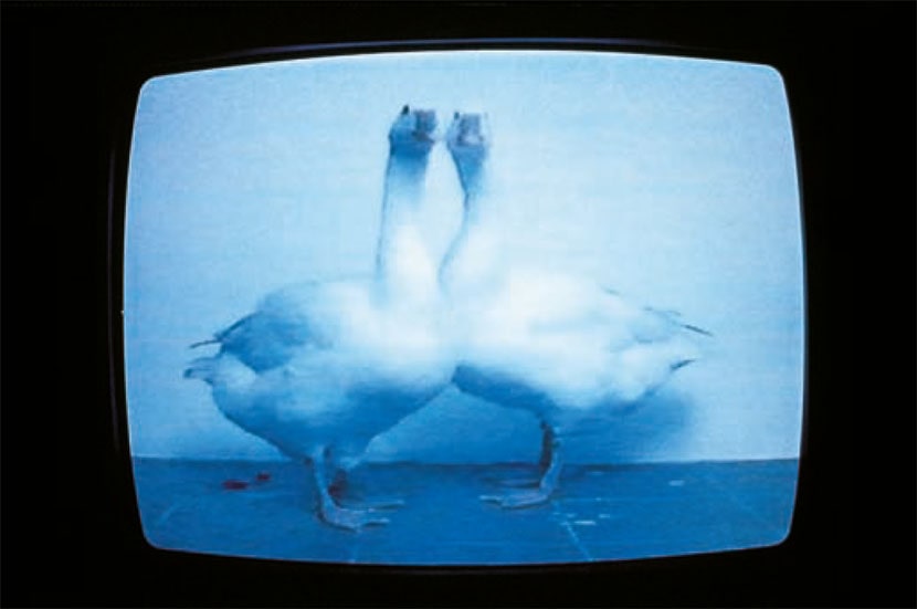 Diego Perrone, Senza titolo, 1994, video, 15’. Courtesy  Massimo De Carlo,  Milan/London/Hong  Kong